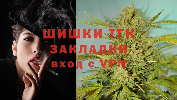 дживик Иннополис