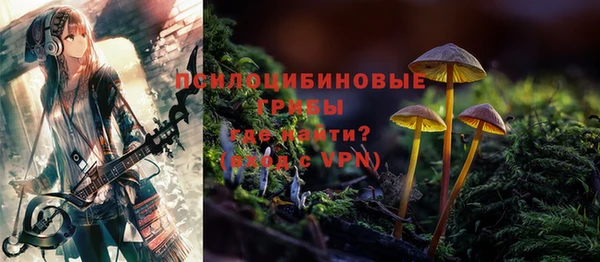 бутират Инсар