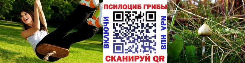 Псилоцибиновые грибы прущие грибы  Купить закладки  Нея 